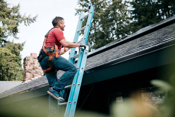 Best Steel Roofing  in Laporte, CO